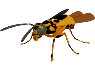 Wasp 3D Model