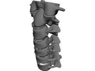Vertebrae Cervical Bones CAD 3D Model