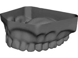 Teeth Upper Surface CAD 3D Model
