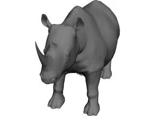 Rhino 3D Model