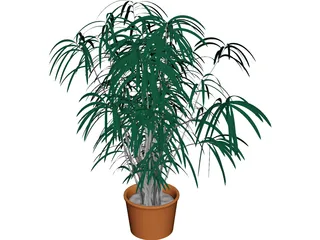 Indoor Plant 3D Model