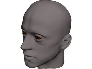 Man Head 3D Model