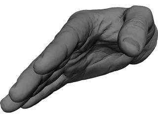 Right Hand Male 3D Model