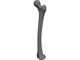 Femur Bone CAD 3D Model