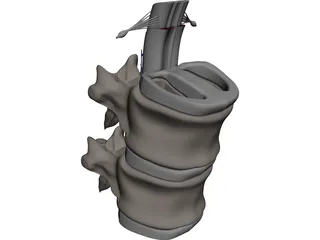 Vertebra CAD 3D Model