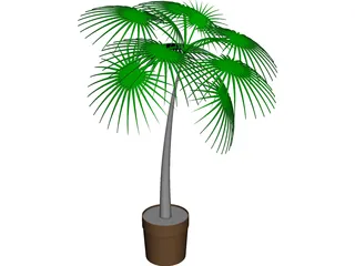 Palm Tree Plant CAD 3D Model