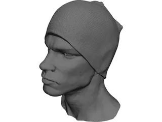 Head for Printing Decimated 3D Model