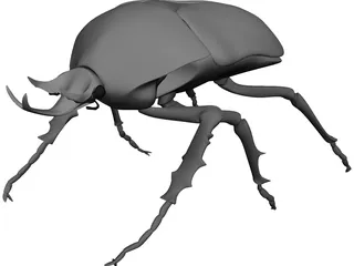 African Rose Beetle 3D Model
