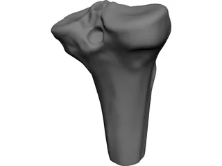 Human Knee CAD 3D Model