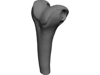 Human Knee CAD 3D Model