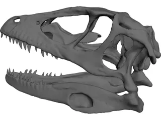 Dinosaur Skull 3D Model