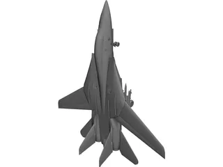 F-14 Tomcat Fighter 3D Model