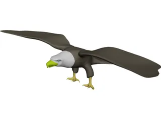 Eagle Bald 3D Model 3D Preview