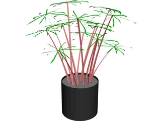 Cyperus Alternifolius 3D Model