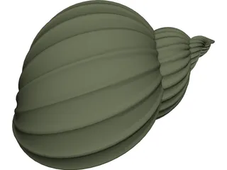 Shell Sea 3D Model