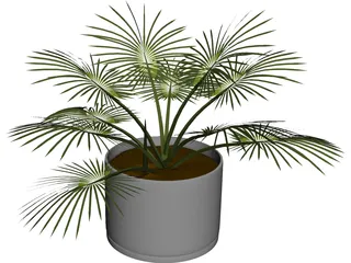 House Plant 3D Model