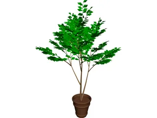 Potted Tree 3D Model