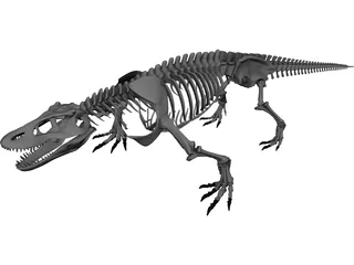 Komodo Dragon Skeleton 3D Model