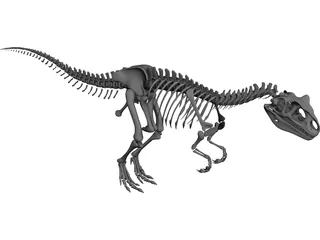 Allosaurus Skeleton 3D Model