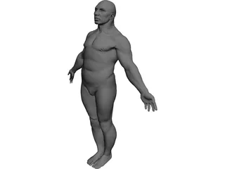Male Body 3D Model 3D Preview