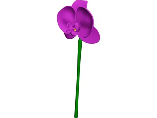 Orchid Flower CAD 3D Model