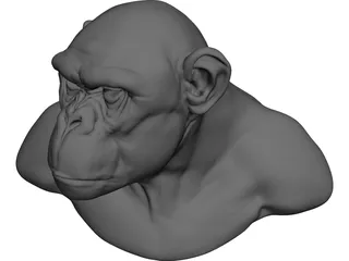 Chimp Head 3D Model