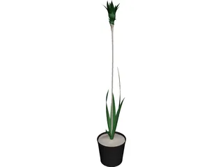 Potted Plant 3D Model