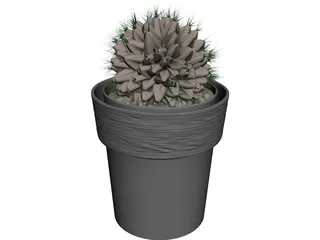 Potted Cactus Plant 3D Model