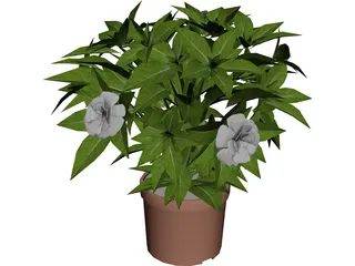 Potted Plant 3D Model