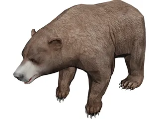 Brown Bear 3D Model 3D Preview