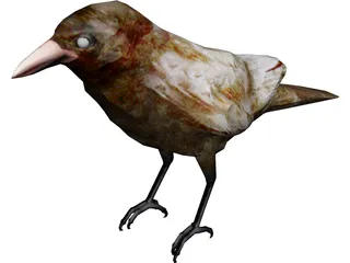 Bangor Crow 3D Model