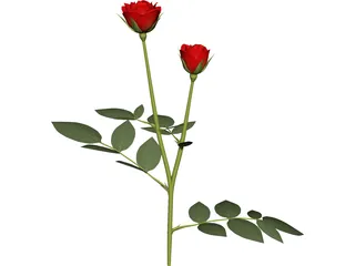 Red Rose 3D Model