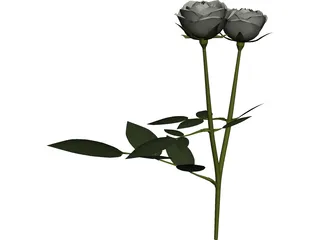 White Rose 3D Model