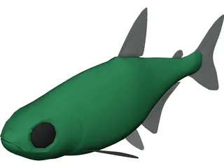 Neon Tetra 3D Model