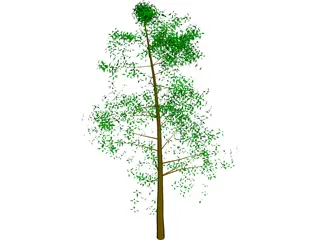 Tree Big 3D Model