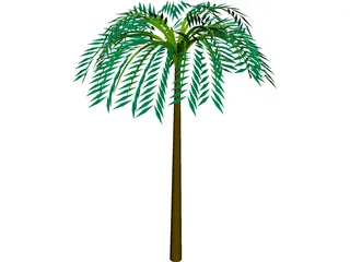 Tree Palm Tropical 3D Model