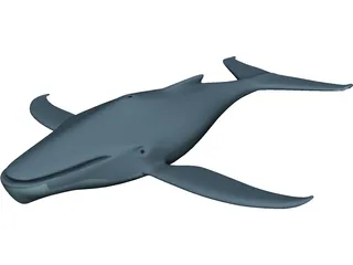 Whale Funny 3D Model