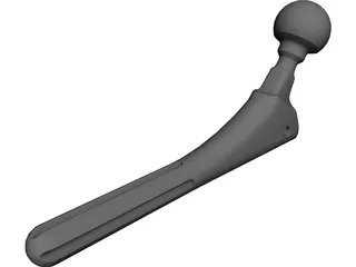 Hip Prosthesis 3D Model