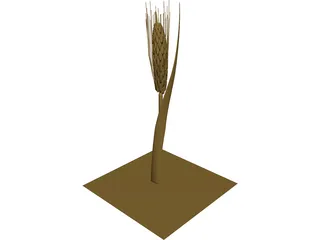 Dried Barley 3D Model