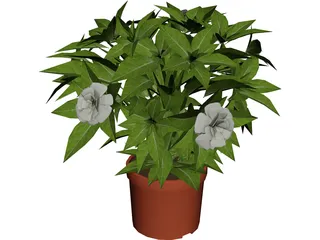 Plant 3D Model