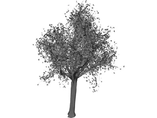 Tree 3D Model