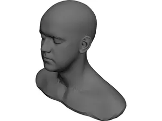 Head 3D Model 3D Preview