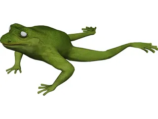 Frog 3D Model