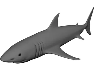 Shark White 3D Model