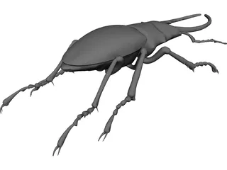 Stag Beetle 3D Model
