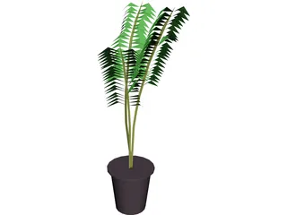 Potted Fern 3D Model