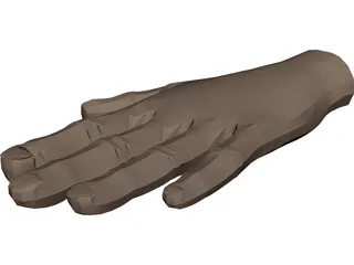 Hand 3D Model