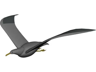 Seagull Flying 3D Model