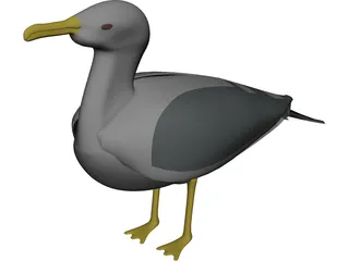 Seagull Standing 3D Model