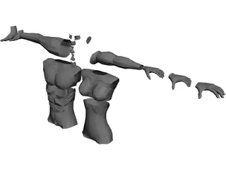 Modular Body Parts 3D Model